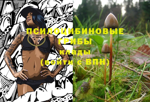 круглые Абаза