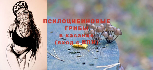 стаф Переславль-Залесский