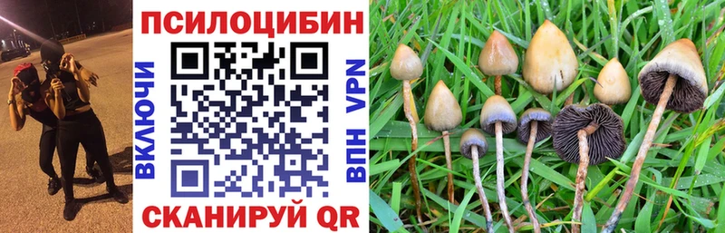 МЕГА   Нахабино  shop официальный сайт  Псилоцибиновые грибы ЛСД 